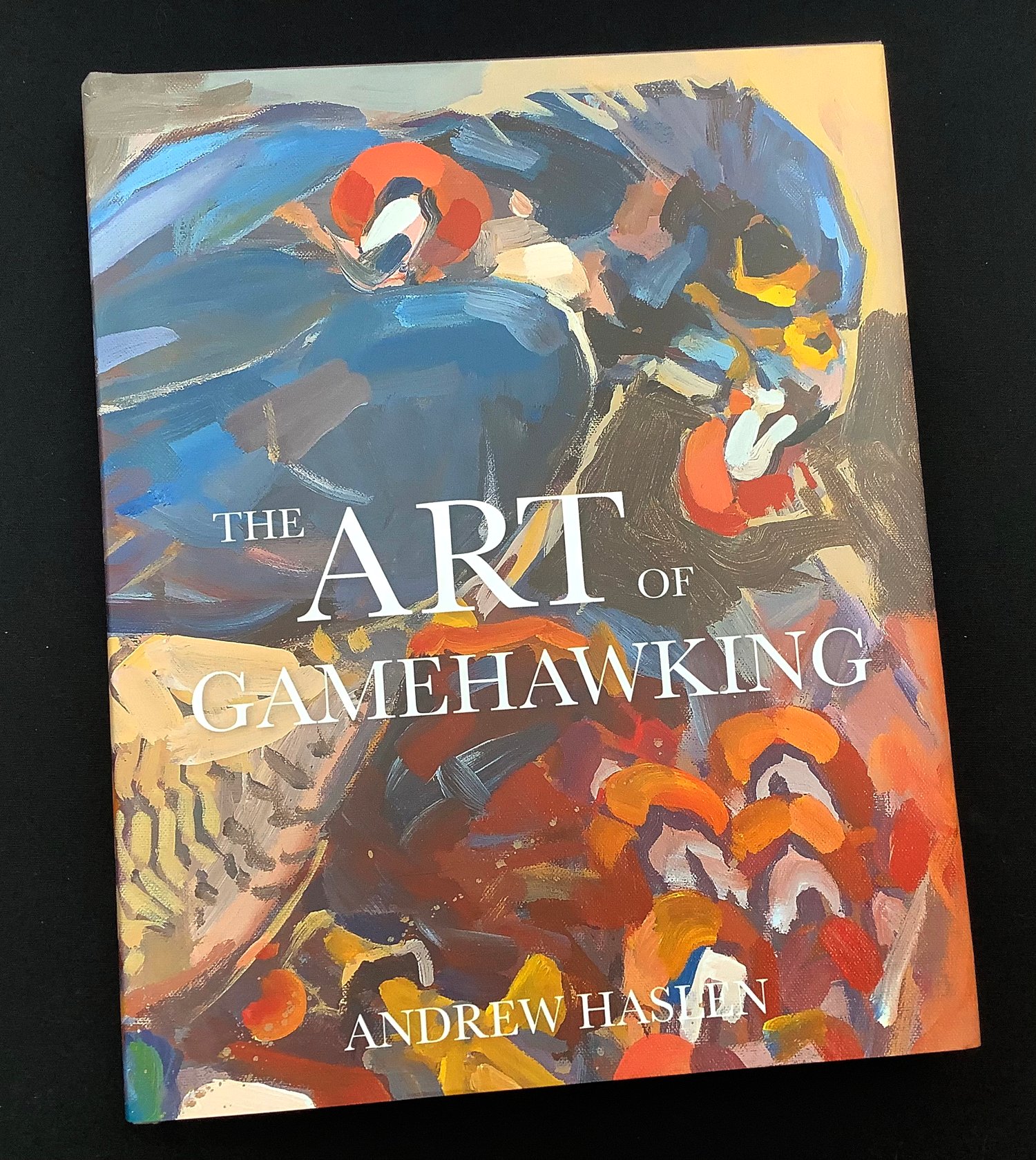 Image of The Art of Gamehawking