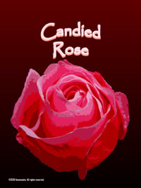 Image 1 of Candied Rose - Mini