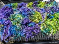 Image 1 of Teeswater Lamb Fleece Boa in Mermaid Colorway - 1 pound 9 ounces -  ON SALE