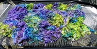 Image 3 of Teeswater Lamb Fleece Boa in Mermaid Colorway - 1 pound 9 ounces -  ON SALE