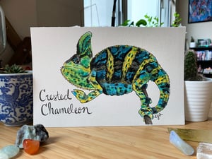 Crested Chameleon