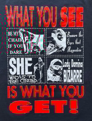 Image of WHAT YOU SEE IS WHAT YOU GET / LEAVE ME ALONE 