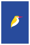 Oiseaux #5 - Kingfisher