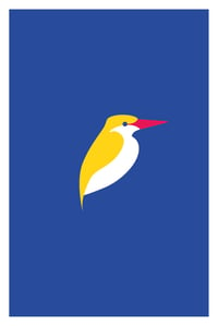 Oiseaux #5 - Kingfisher