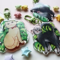 Image 5 of Monstera Acrylic Charms