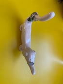 Image 3 of Doggy Ring Holder