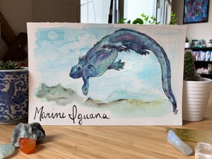 Marine Iguana