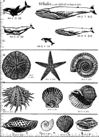 Image 1 of Whales & Shells P44