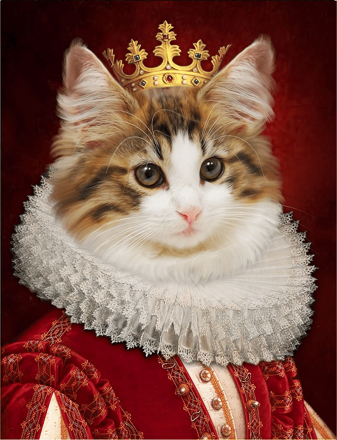 корги пемброк елизавета 2. вельш корги королевы елизаветы. кот султан. вельш корги пемброк королева англии. королевские животные.