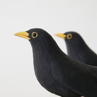 Image 4 of Blackbird 2022