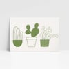 Cacti A3 Print