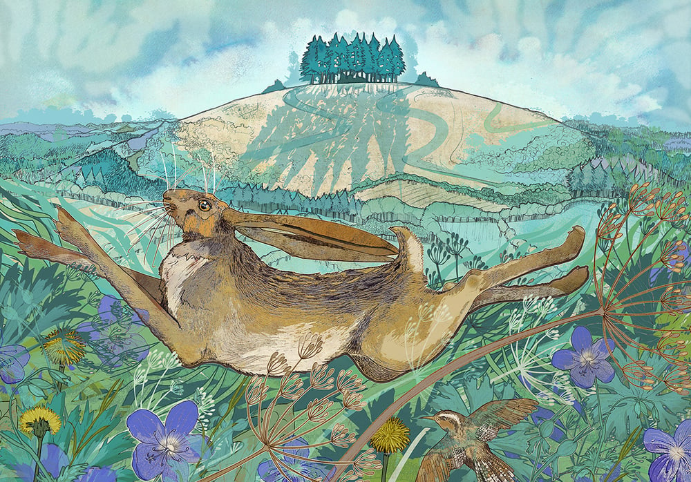 Image of May Hill Hare