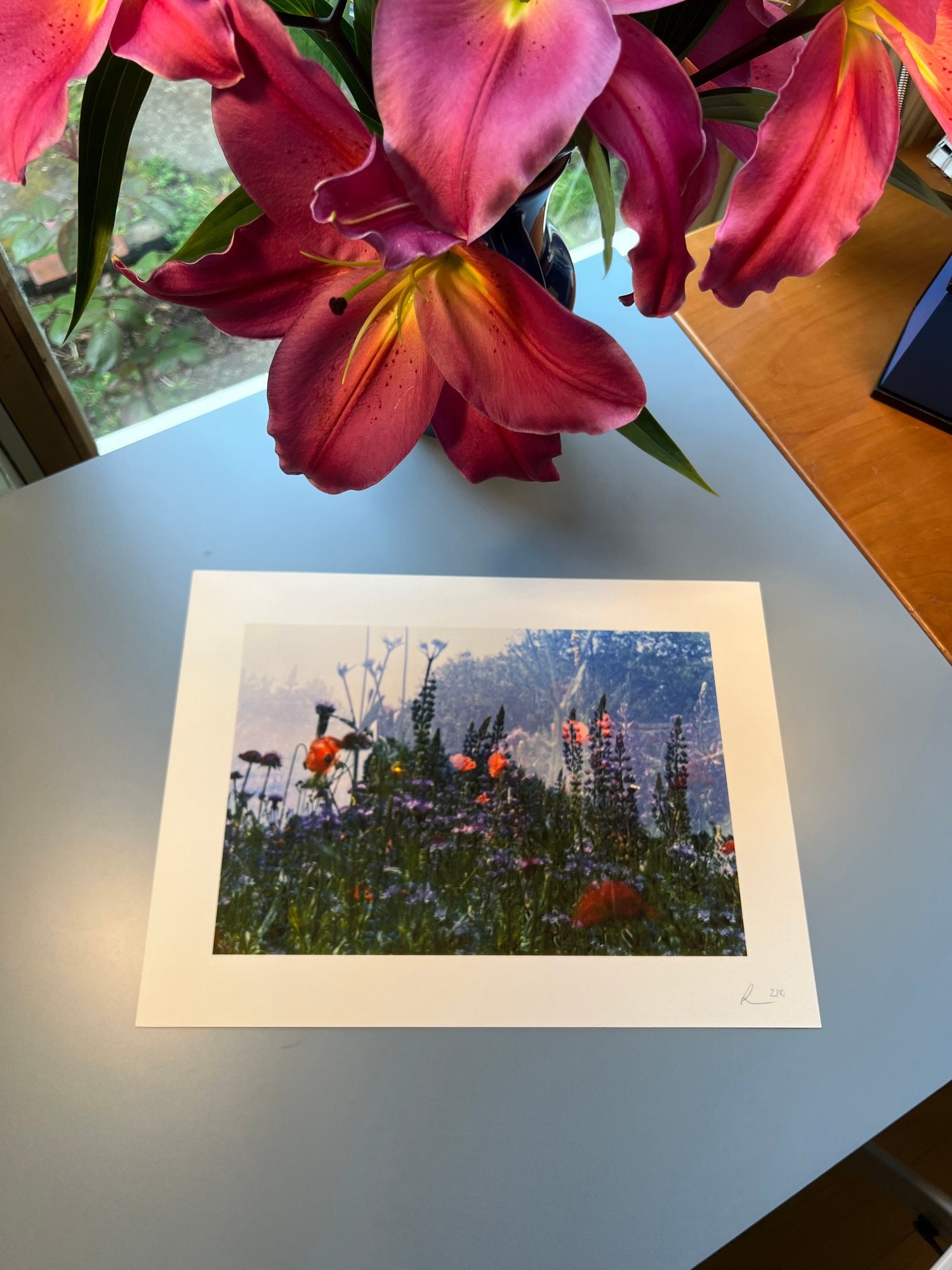 Image of Magic Meadow. - ON SALE