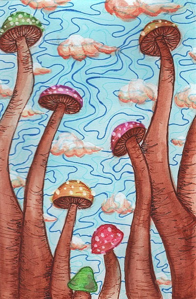 Image of Mushroom Field