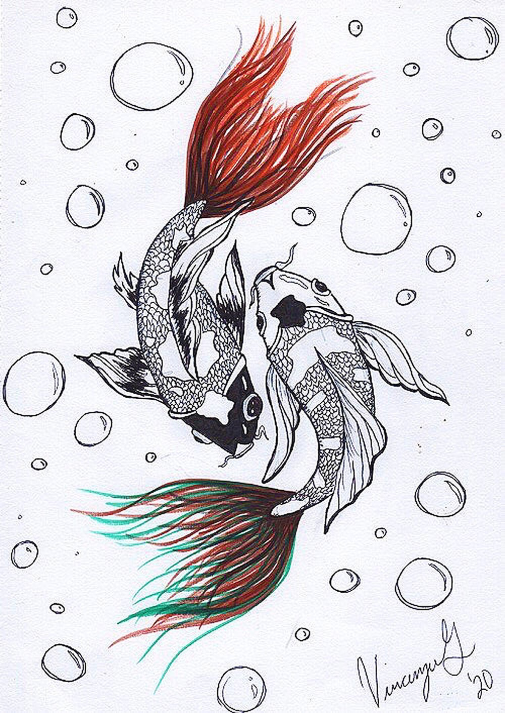 Image of Koi Fish