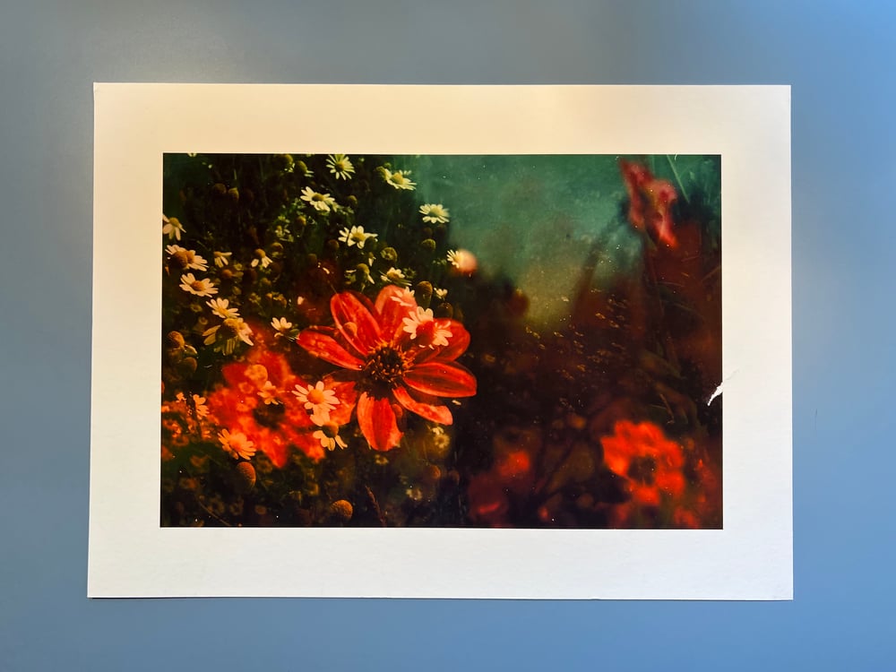 Image of The Levity of Summer. - ON SALE