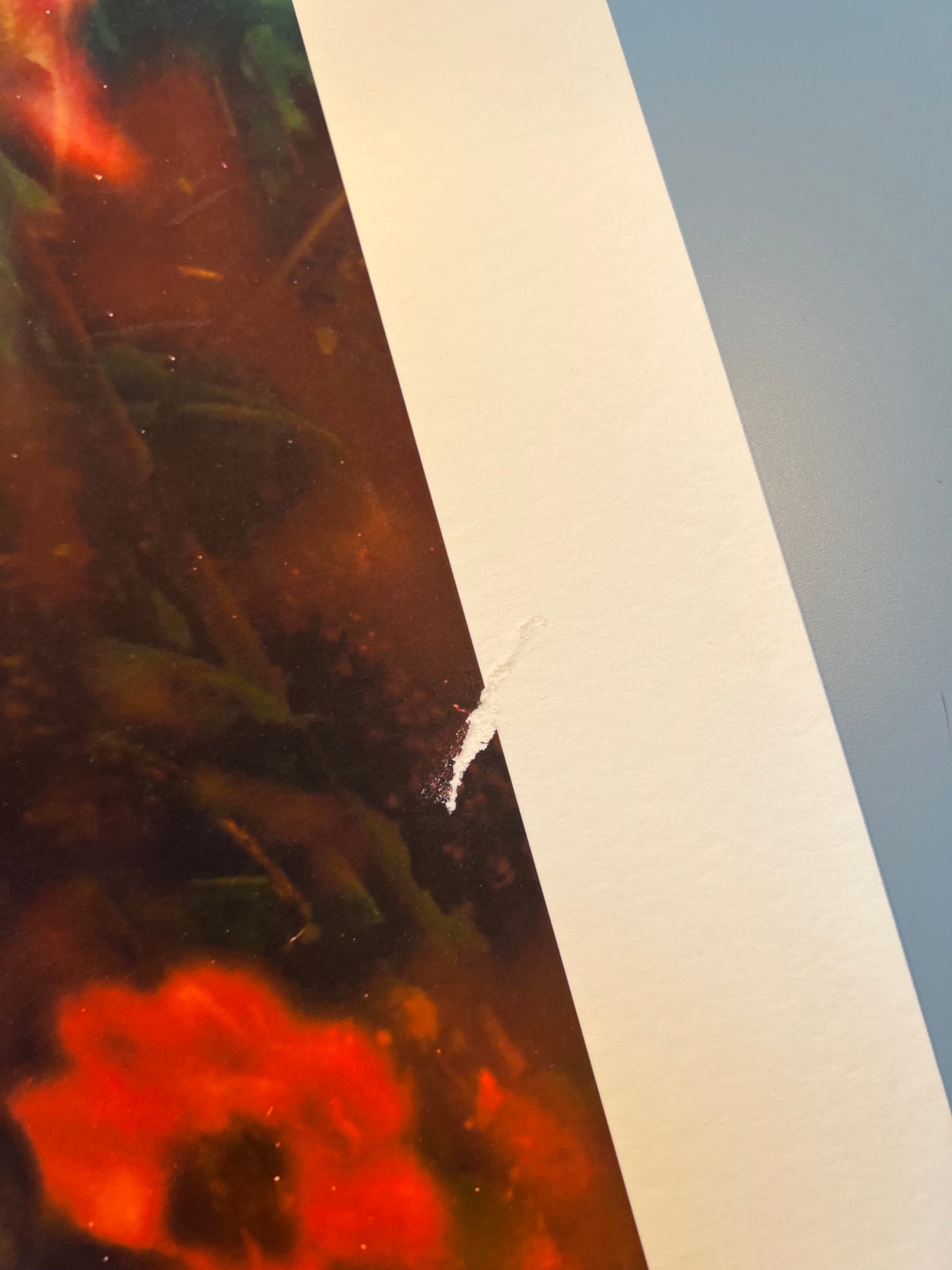 Image of The Levity of Summer. - ON SALE