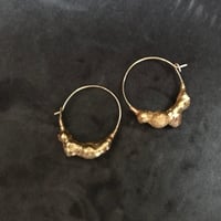 Image 2 of SHORELINE I golden hoops