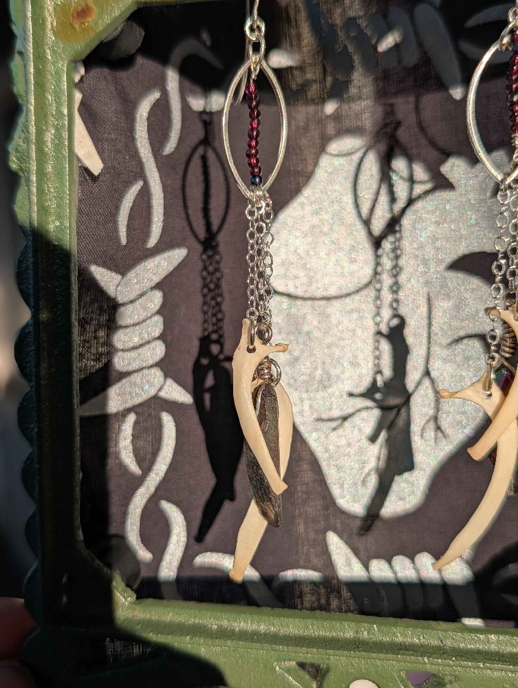 Image of rabbit rib earrings
