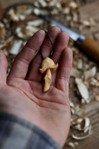 Image 3 of Cherry Wood mushroom 