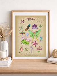 Image 6 of Vintage Pisces Nature Chart 