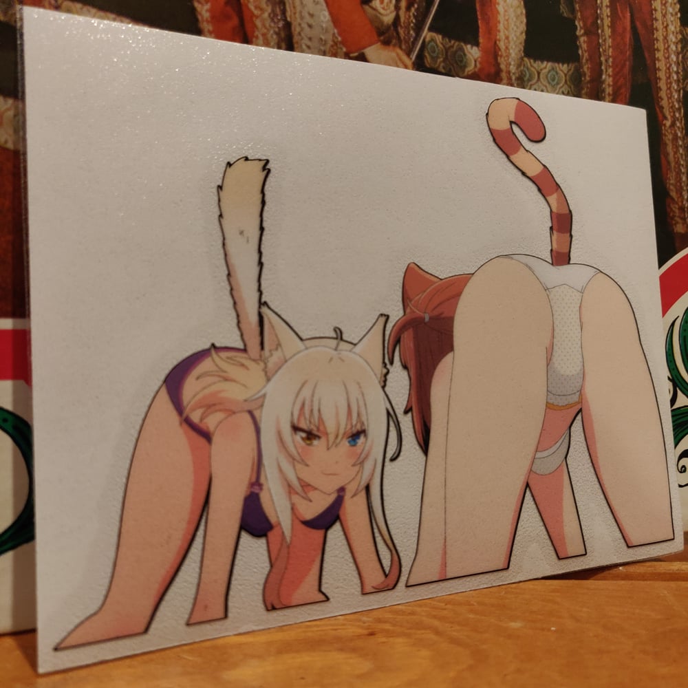 Catfight