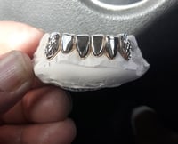 Image of Permanent style grills 