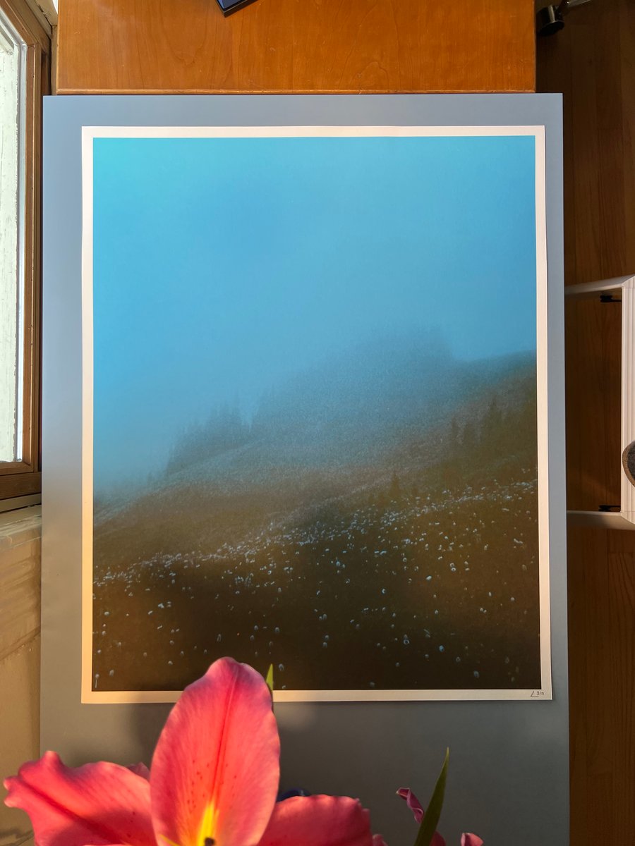 Image of In the Land of the Ever Mists. - ON SALE.