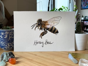 Honey Bee