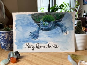 Mary River Turtle