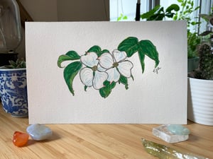 Dogwood blossoms