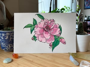 Camellia