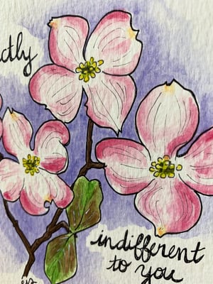 Dogwood (I am perfectly indifferent to you)