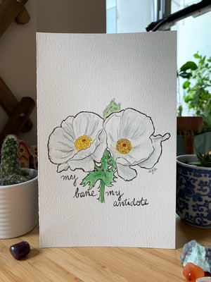 White Poppy (My bane my antidote)