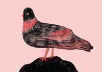Image 3 of Bird