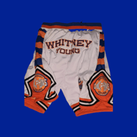 Image 2 of WHITNEY YOUNG DOLPHINS BASKETBALL SHORTS