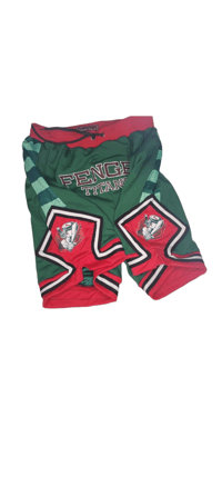 Image 1 of MEN FENGER TITAN MESH FULLY EMBROIDERED BASKETBALL SHORTS 