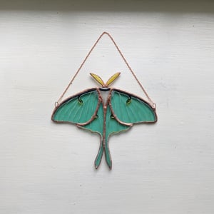 Image of Luna Moth no.5