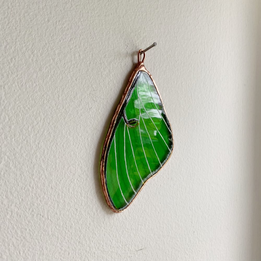 Image of Luna Moth Wing no.2