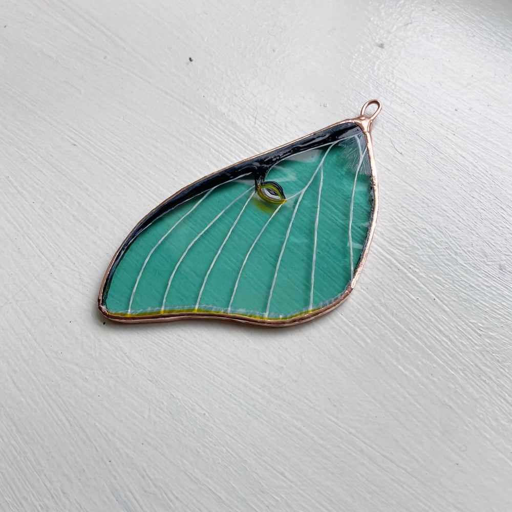 Image of Luna Moth Wing no.3