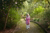 Image 2 of Fall Mini Session @ Botanical Gardens {October 5th}