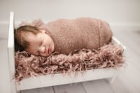 Image 4 of Newborn $125.00 in Studio
