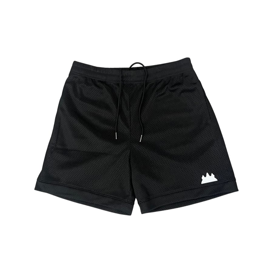 Image of Premium Fashionable Basketball Shorts (Mesh)