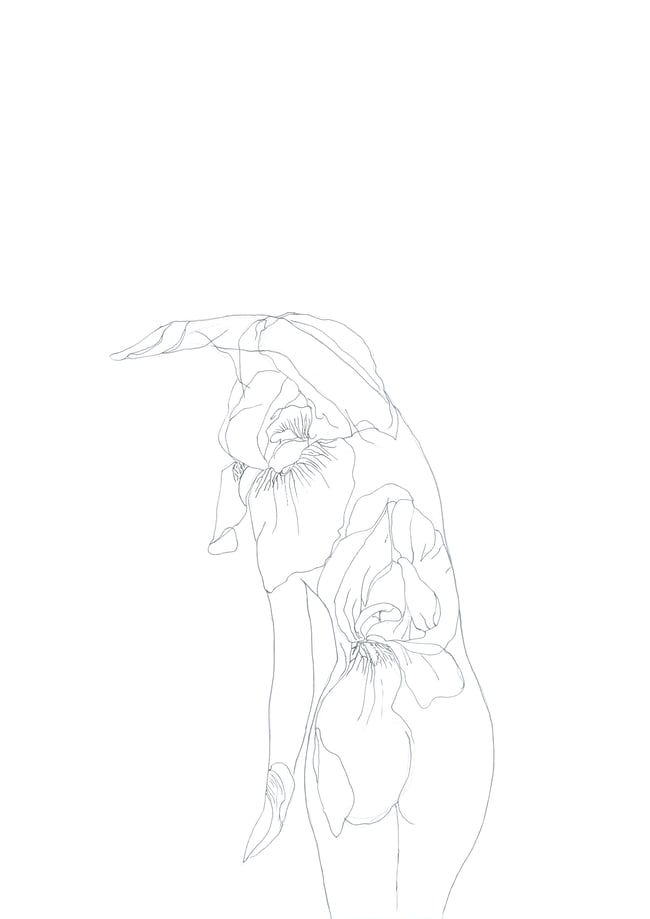 Awakening - Fine Art Print