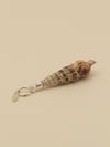 Malaika Shell 2