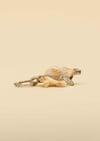 Malaika Afrika Shell 6