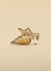 Malaika Afrika Shell 1