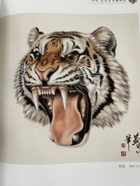 Image 3 of Tiger book 