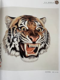 Image 4 of Tiger book 