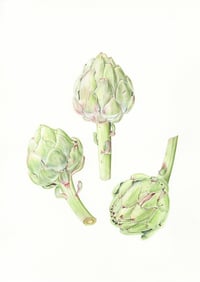 Image 1 of Three Globe Artichokes - Original